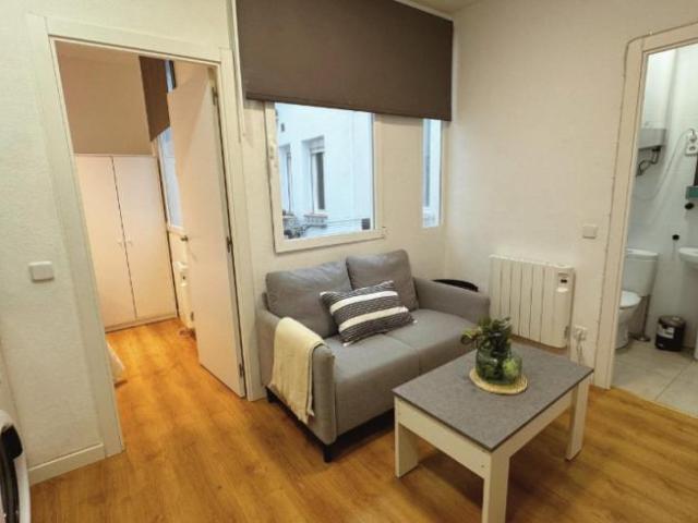 Alquiler 1 Dormitorio Apartamentos Madrid Madrid DS103267565