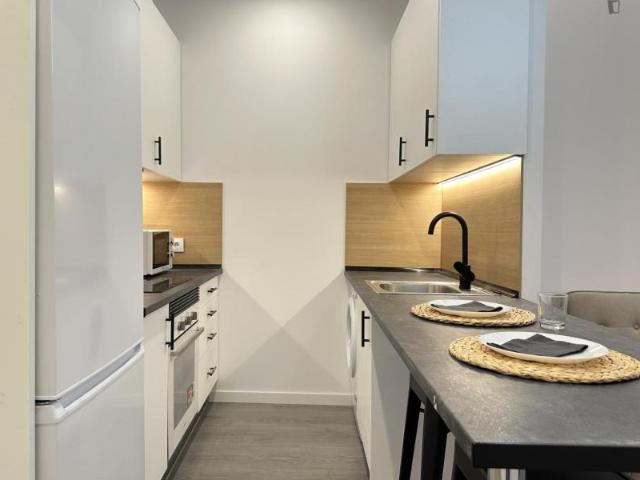 Alquiler 1 Dormitorio Apartamentos Madrid Madrid DS103268624