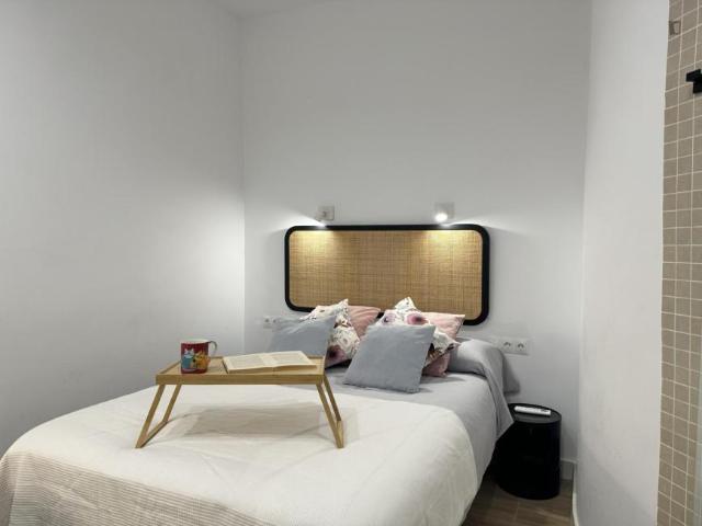 Alquiler 1 Dormitorio Apartamentos Madrid Madrid DS103268692