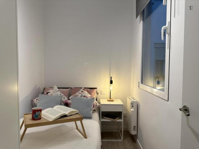 Alquiler 1 Dormitorio Apartamentos Madrid Madrid DS103268765