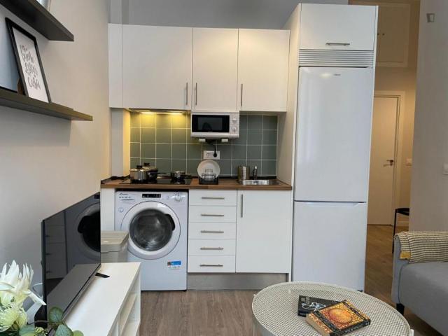 Alquiler 1 Dormitorio Apartamentos Madrid Madrid DS103268817