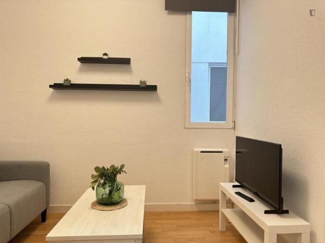 Alquiler 1 Dormitorio Apartamentos Madrid Madrid DS103268905