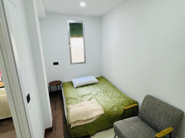 Alquiler 1 Dormitorio Apartamentos Madrid Madrid DS103273805