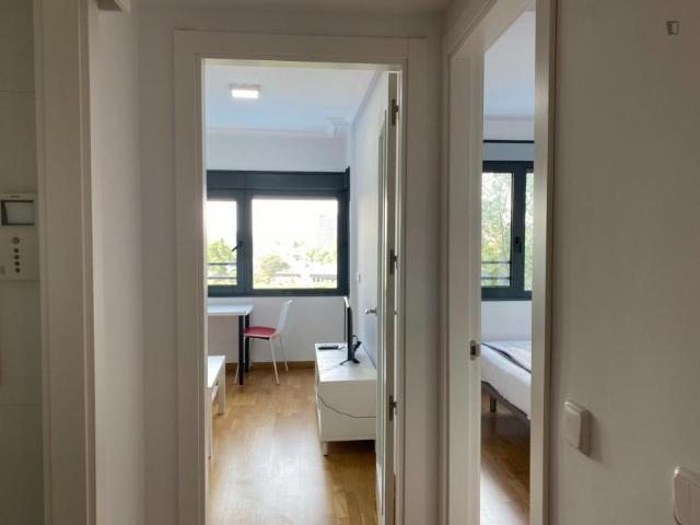 Alquiler 1 Dormitorio Apartamentos Madrid Madrid DS103275525