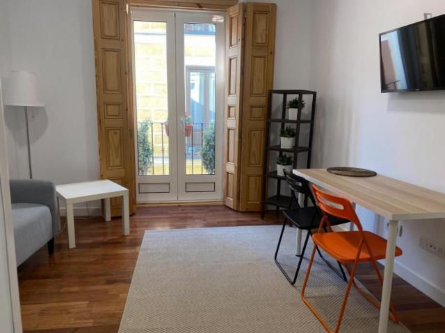 Alquiler 1 Dormitorio Apartamentos Madrid Madrid DS103275820