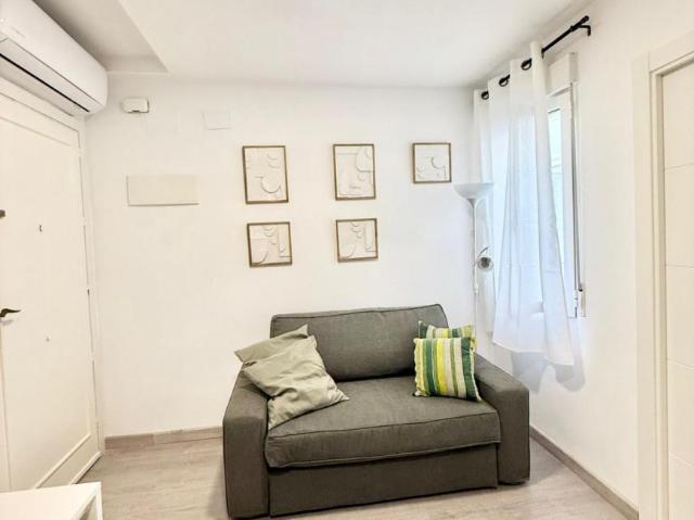 Alquiler 1 Dormitorio Apartamentos Madrid Madrid DS103278564