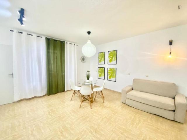 Alquiler 1 Dormitorio Apartamentos Madrid Madrid DS103278738