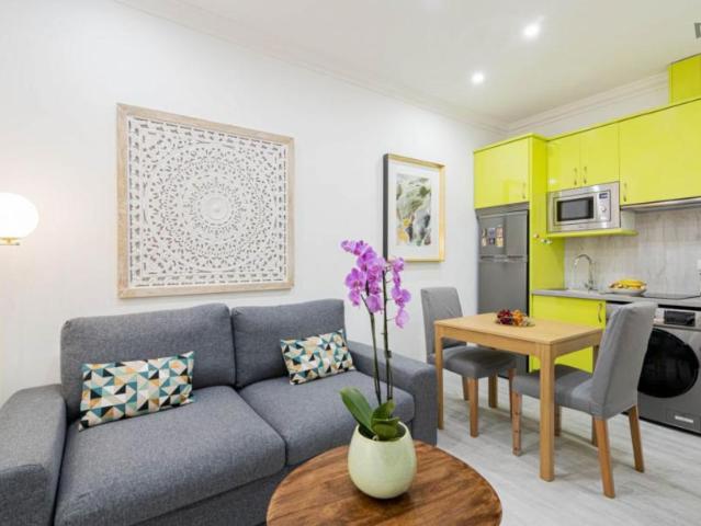 Alquiler 1 Dormitorio Apartamentos Madrid Madrid DS103280150