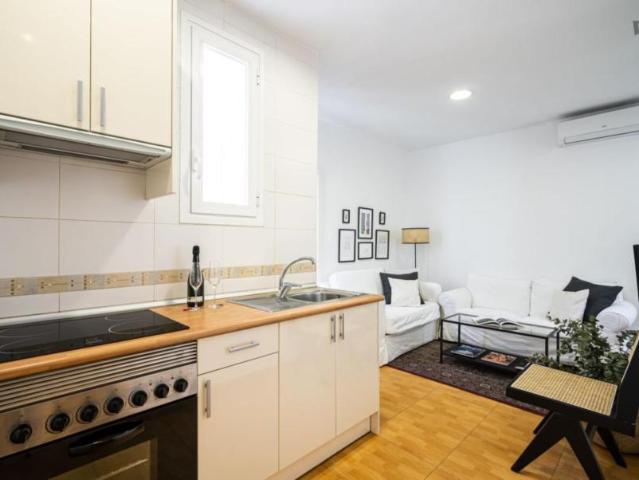 Alquiler 1 Dormitorio Apartamentos Madrid Madrid DS103280290