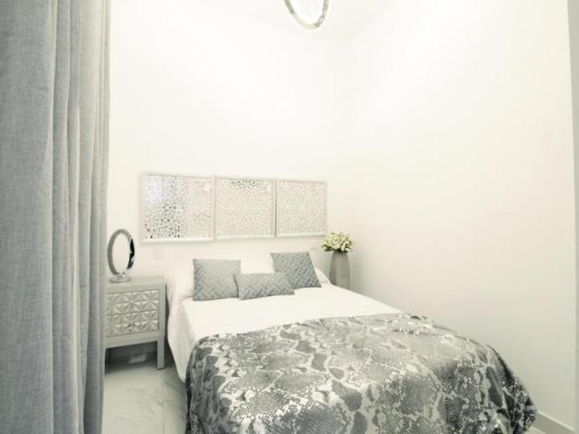 Alquiler 1 Dormitorio Apartamentos Madrid Madrid DS103301785