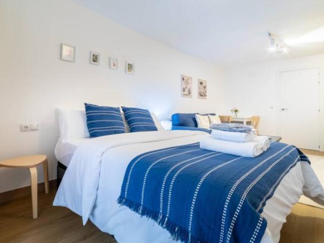 Alquiler 1 Dormitorio Apartamentos Madrid Madrid DS103325590