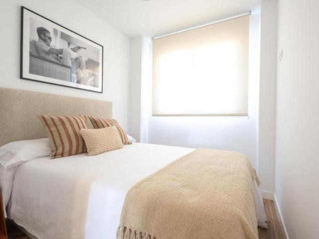 Alquiler 1 Dormitorio Apartamentos Madrid Madrid DS103396760