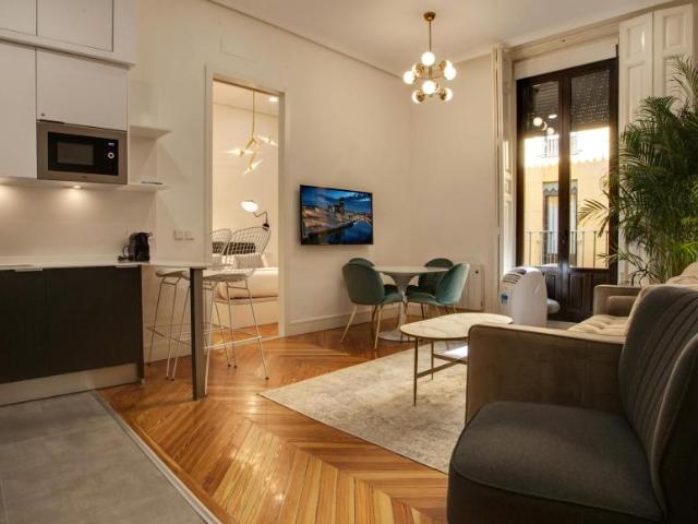 Alquiler 1 Dormitorio Apartamentos Madrid Madrid DS104639839