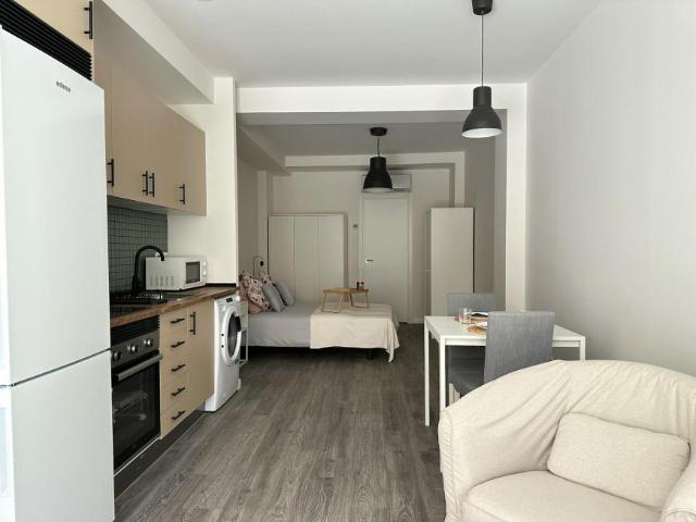 Alquiler 1 Dormitorio Apartamentos Madrid Madrid DS104783796