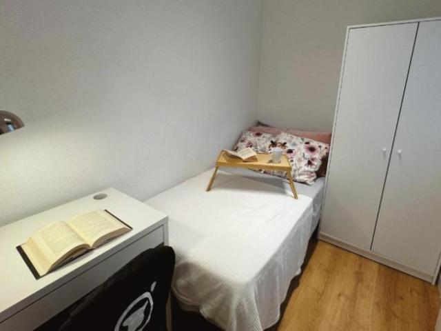 Alquiler 1 Dormitorio Apartamentos Madrid Madrid DS104794902