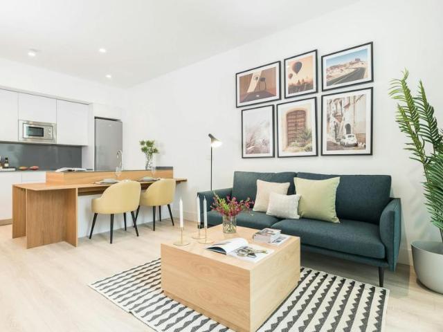 Alquiler 1 Dormitorio Apartamentos Madrid Madrid DS104002876