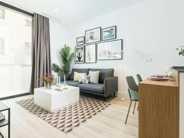 Alquiler 1 Dormitorio Apartamentos Madrid Madrid DS104002878