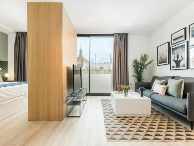Alquiler 1 Dormitorio Apartamentos Madrid Madrid DS104002883