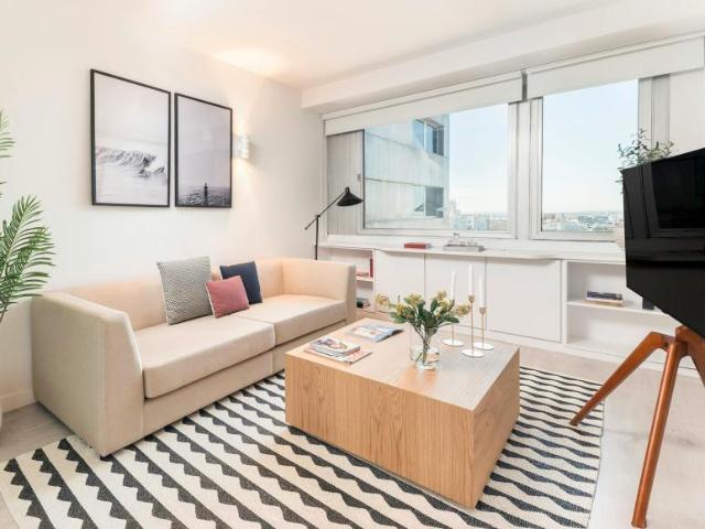 Alquiler 1 Dormitorio Apartamentos Madrid Madrid DS104107622