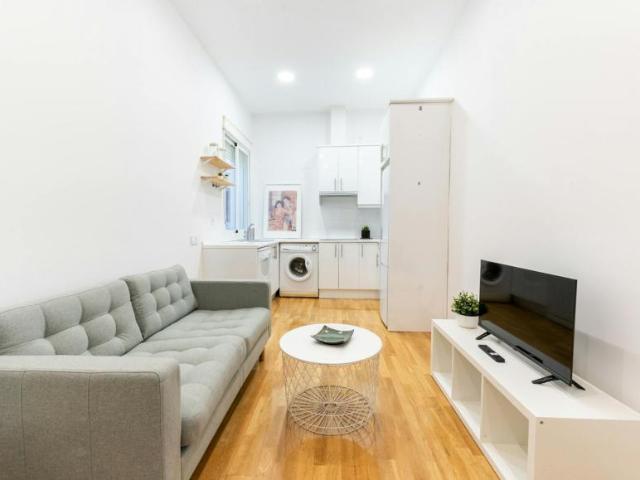 Alquiler 1 Dormitorio Apartamentos Madrid Madrid DS104183207