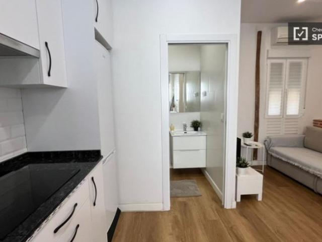 Alquiler 1 Dormitorio Apartamentos Madrid Madrid DS104326812