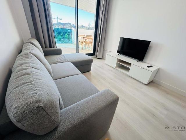 Alquiler 1 Dormitorio Apartamentos Málaga Andalusia DS101995078