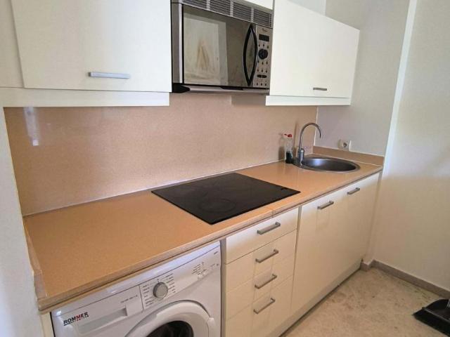 Alquiler 1 Dormitorio Apartamentos Málaga Andalusia DS101348641