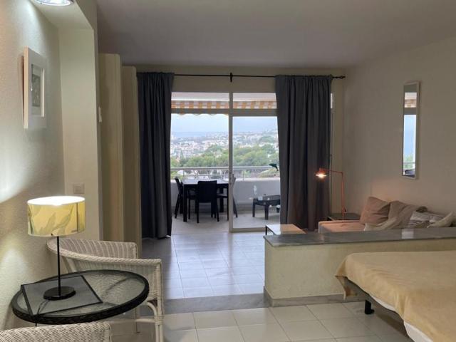 Alquiler 1 Dormitorio Apartamentos Málaga Andalusia DS104325211
