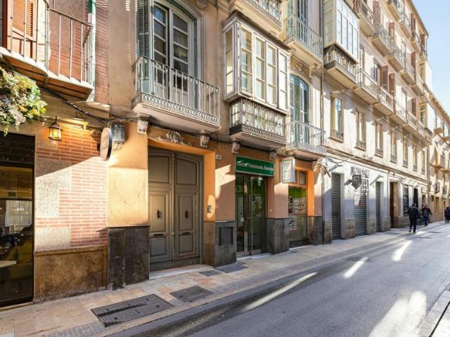 Alquiler 1 Dormitorio Apartamentos Málaga Málaga DLS102521273