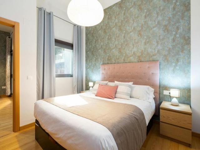 Alquiler 1 Dormitorio Apartamentos Málaga Málaga DLS102553898