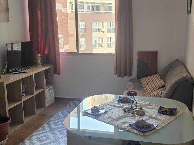 Alquiler 1 Dormitorio Apartamentos Málaga Málaga DLS102630036