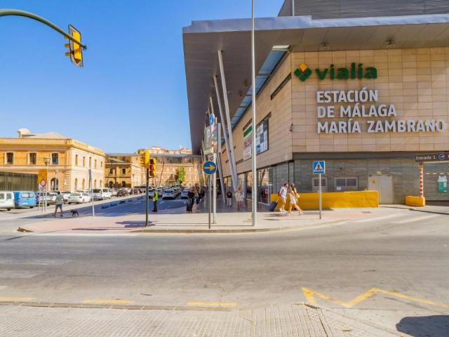 Alquiler 1 Dormitorio Apartamentos Málaga Málaga DLS102814488