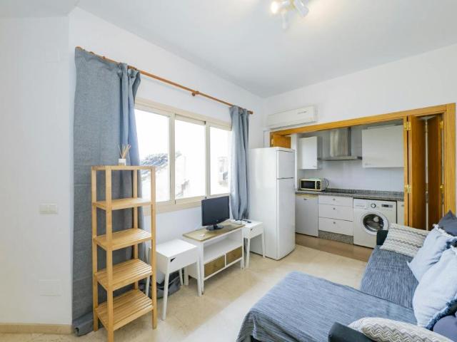 Alquiler 1 Dormitorio Apartamentos Málaga Málaga DLS93424190