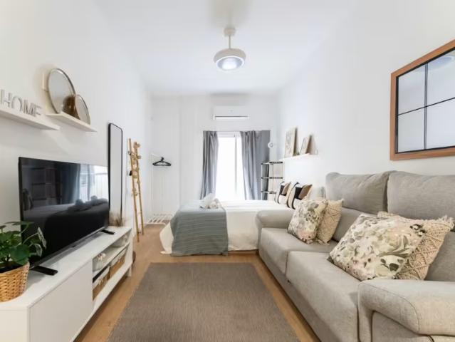 Alquiler 1 Dormitorio Apartamentos Málaga Málaga DLS97912651