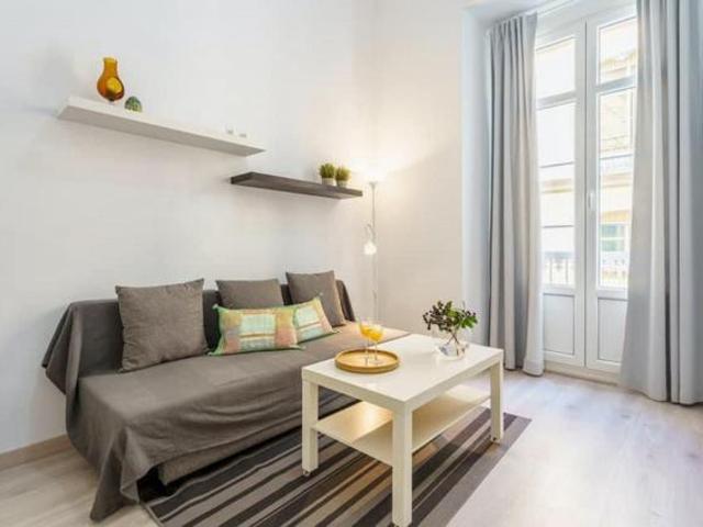 Alquiler 1 Dormitorio Apartamentos Málaga Málaga DS68916165