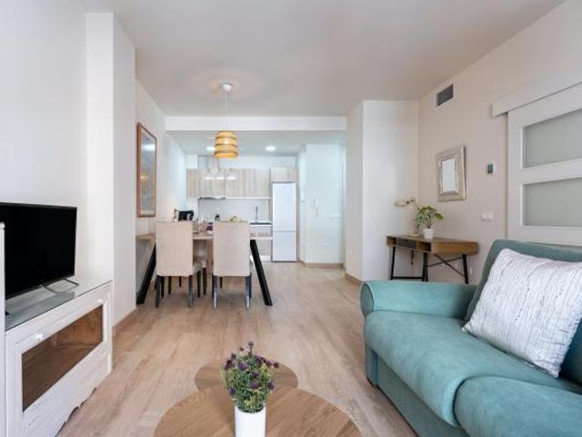 Alquiler 1 Dormitorio Apartamentos Málaga Málaga DS71761276
