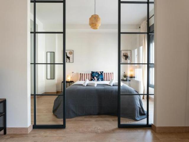 Alquiler 1 Dormitorio Apartamentos Málaga Málaga DS73820584