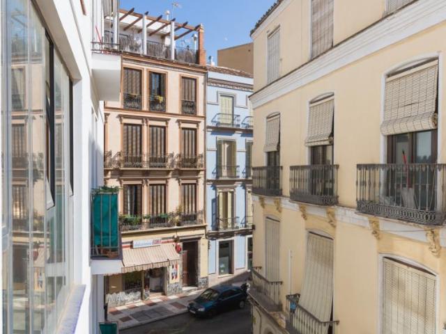Alquiler 1 Dormitorio Apartamentos Málaga Málaga DS77950725