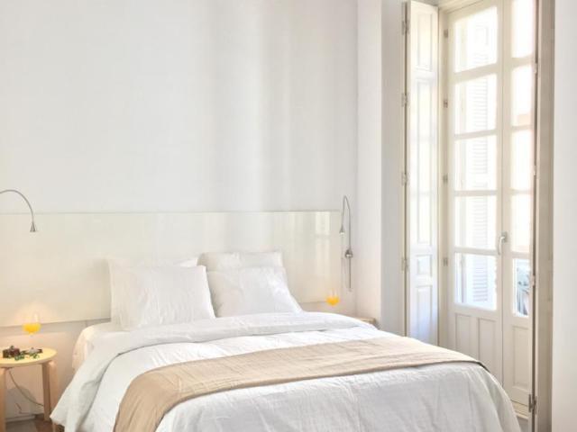 Alquiler 1 Dormitorio Apartamentos Málaga Málaga DS77950728