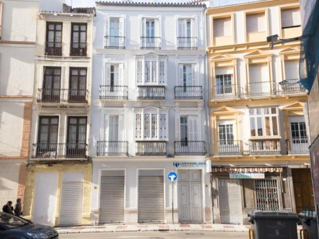 Alquiler 1 Dormitorio Apartamentos Málaga Málaga DS84581510