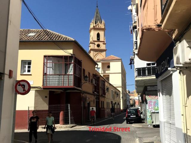 Alquiler 1 Dormitorio Apartamentos Málaga Málaga DS87698456