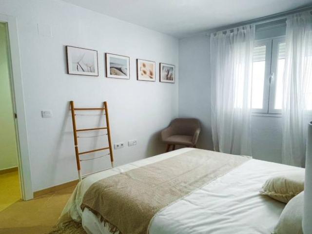 Alquiler 1 Dormitorio Apartamentos Malaga Malaga DS92574479