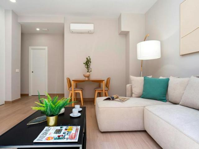 Alquiler 1 Dormitorio Apartamentos Málaga Málaga DS93362140