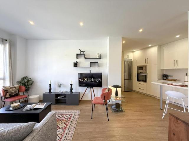 Alquiler 1 Dormitorio Apartamentos Málaga Málaga DS93459008