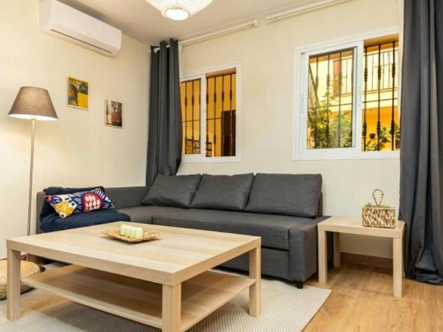 Alquiler 1 Dormitorio Apartamentos Málaga Málaga DS95022481