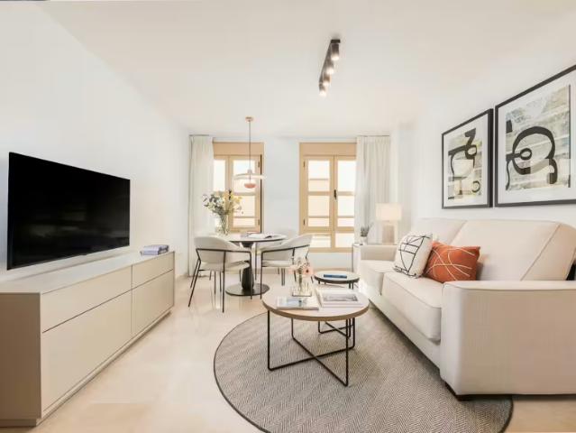 Alquiler 1 Dormitorio Apartamentos Málaga Málaga DS97162657
