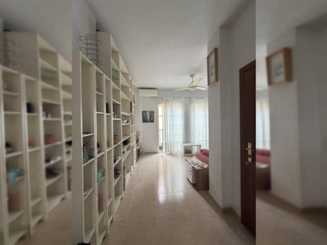 Alquiler 1 Dormitorio Apartamentos Malaga Malaga DS98753491