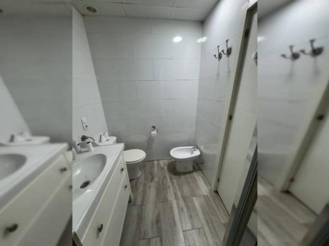 Alquiler 1 Dormitorio Apartamentos Malaga Malaga DS100449090