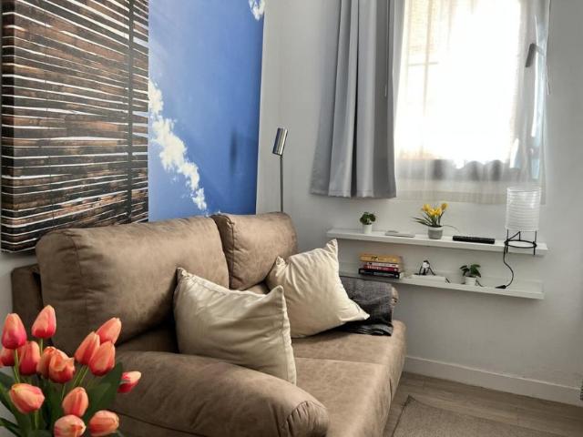 Alquiler 1 Dormitorio Apartamentos Málaga Málaga DS101566629