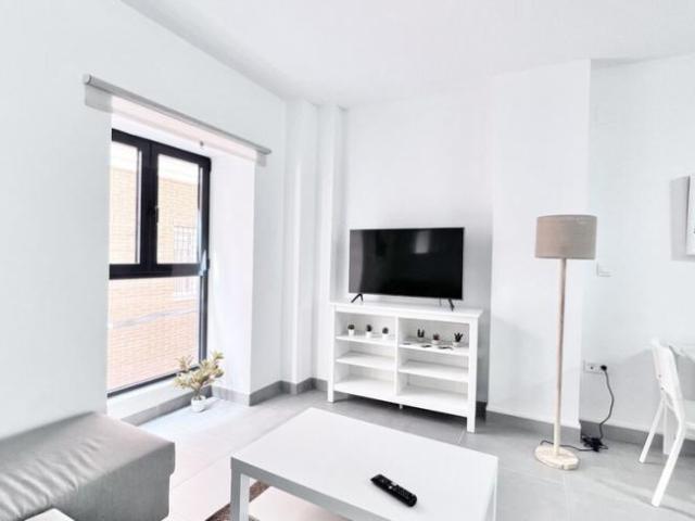 Alquiler 1 Dormitorio Apartamentos Málaga Málaga DS101566663